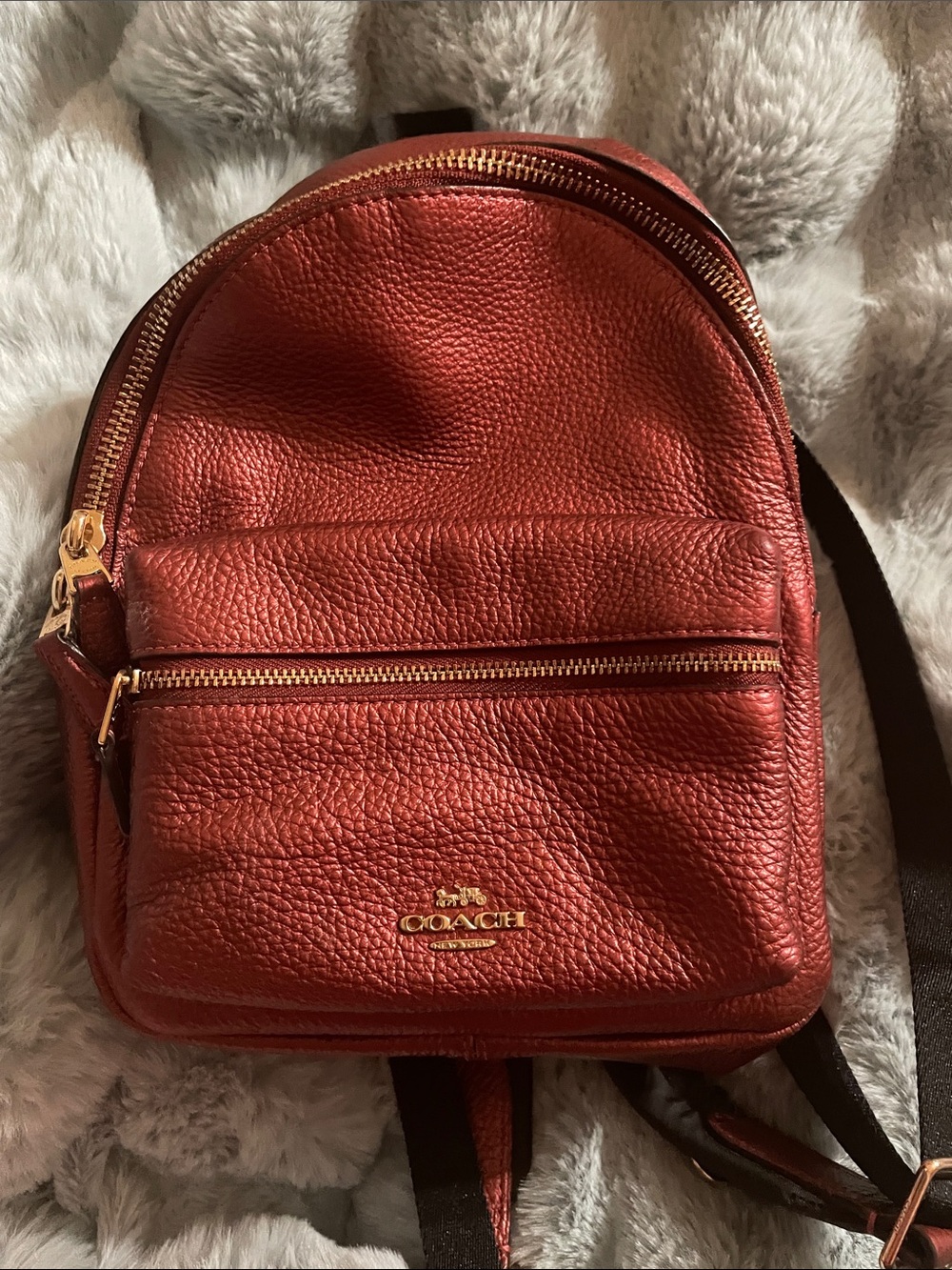 Coach Metallic Red Pebbled Leather Mini Backpack